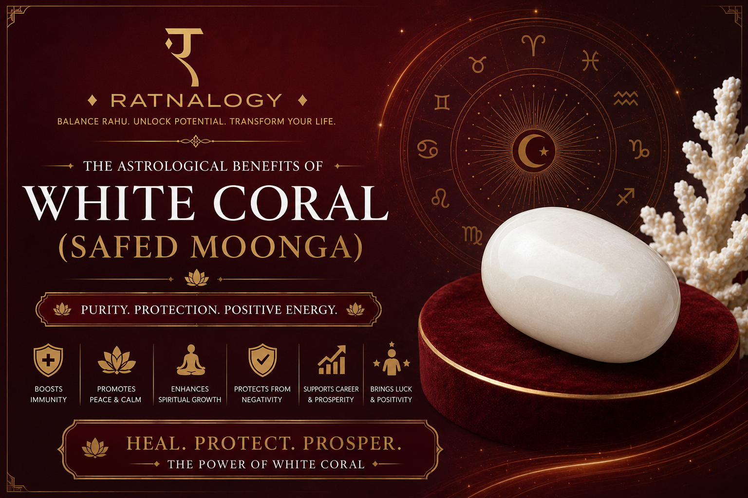 Ratnalogy | White Coral (Safed Moonga) Complete Guide