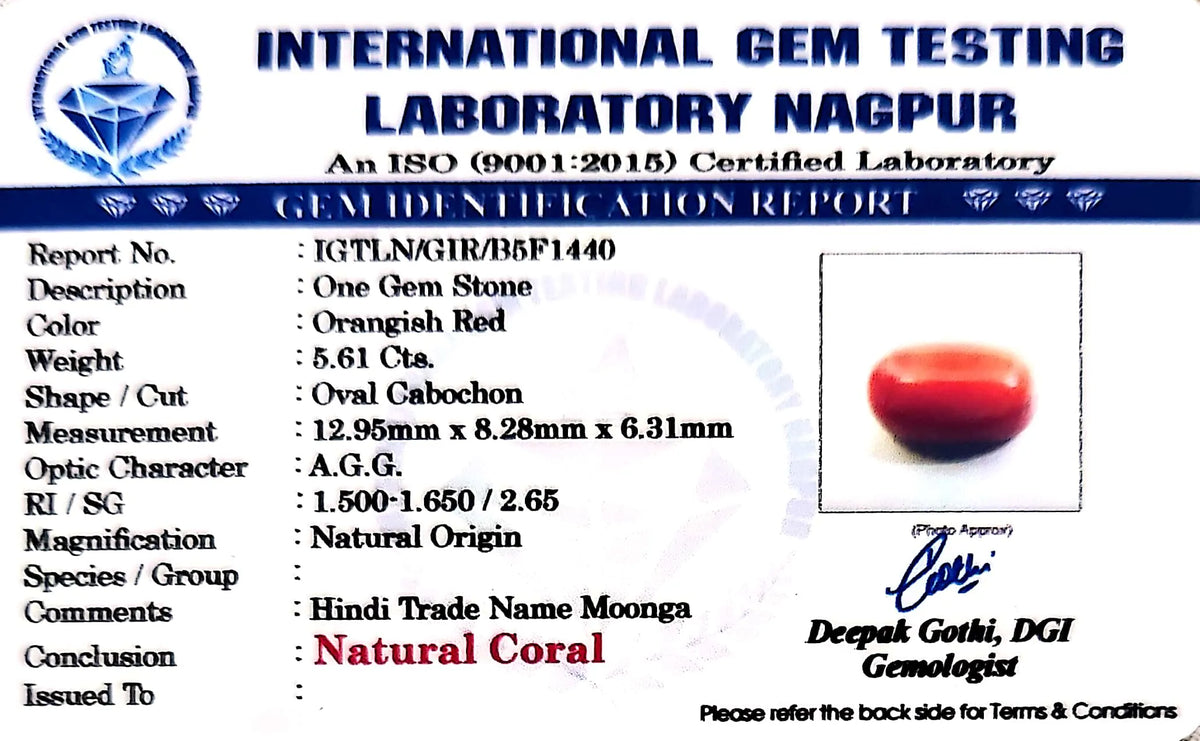 Red Coral - Moonga Gemstone - Carat 5.61