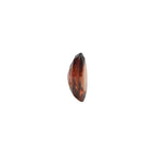 Gomed Stone (Hessonite) - Carat 3.91