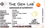 Yellow Sapphire - Pukhraj Stone - Carat 2.55