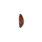 Gomed Stone (Hessonite) - Carat 3.91