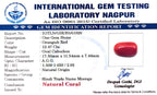 Red Coral - Moonga Gemstone - Carat 12.47