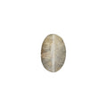 Catseye Stone (Lehsuniya Stone) - Carat 6.19