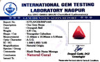 Red Coral - Moonga Gemstone - Carat 4.87