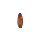 Gomed Stone (Hessonite) - Carat 3.54