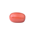 Red Coral - Moonga Gemstone - Carat 5.61