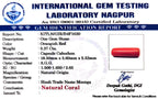 Red Coral - Moonga Gemstone - Carat 5.37