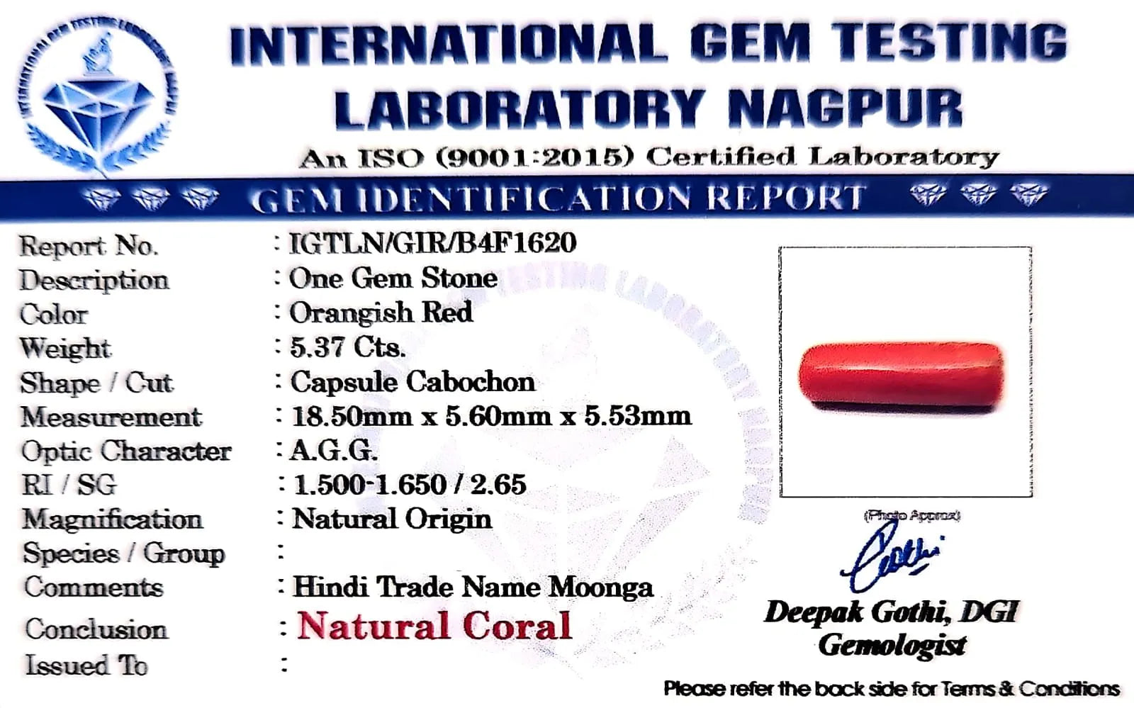 Red Coral - Moonga Gemstone - Carat 5.37