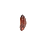 Gomed Stone (Hessonite) - Carat 4.80