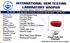 Red Coral - Moonga Gemstone - Carat 7.15