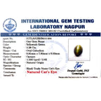 Catseye Stone (Lehsuniya Stone) - Carat 3.28