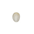 Catseye Stone (Lehsuniya Stone) - Carat 3.12