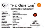 Gomed Stone (Hessonite) - Carat 2.37